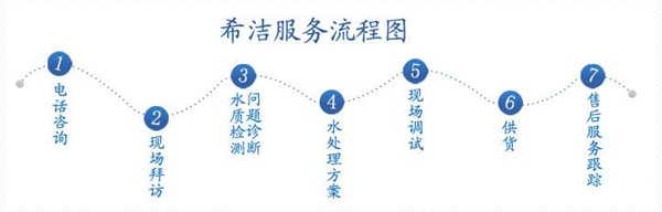 AG九游会脱磷剂厂家服务流程图