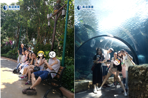 AG九游会环保活动图片5