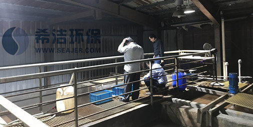 AG九游会铬废水重金属捕捉处理工艺