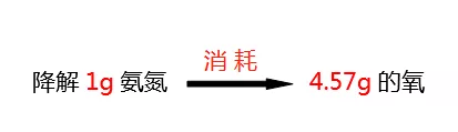 氨氮降解所需氧的比值_AG九游会环保