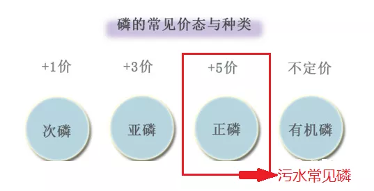 磷的价态_AG九游会环保